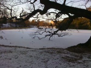 Frozen loch
