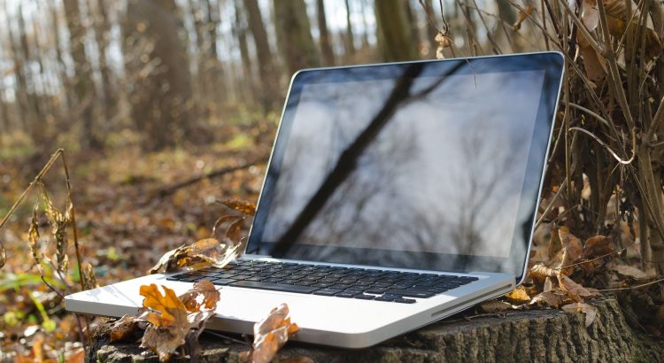 laptop on a tree stump