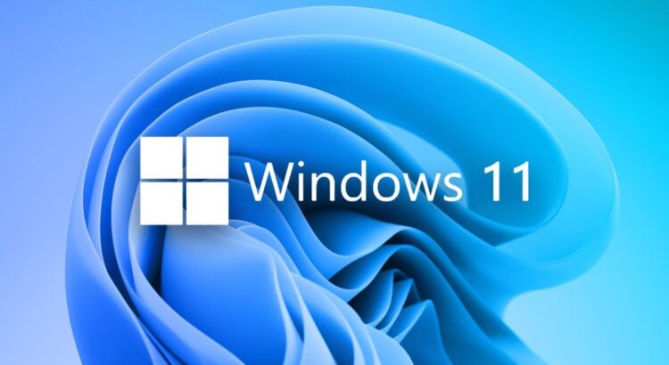 Windows 11 logo
